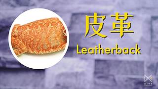 当下频道的当下世界