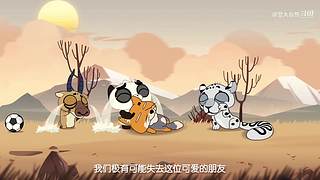 摩登大自然开播哦