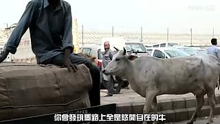王生怪谈奇闻怪事