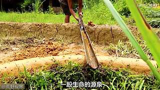 越南小哥的丛林生活