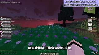 我的世界原生态宝可梦九代朱紫一起Go！