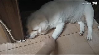 回归玩家随便逛逛