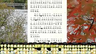 中華經(jīng)典傳承的直播間