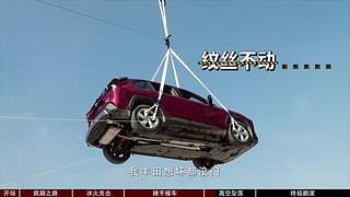 一鹿有車的直播間