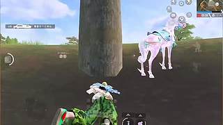 用戶3454940395的直播間