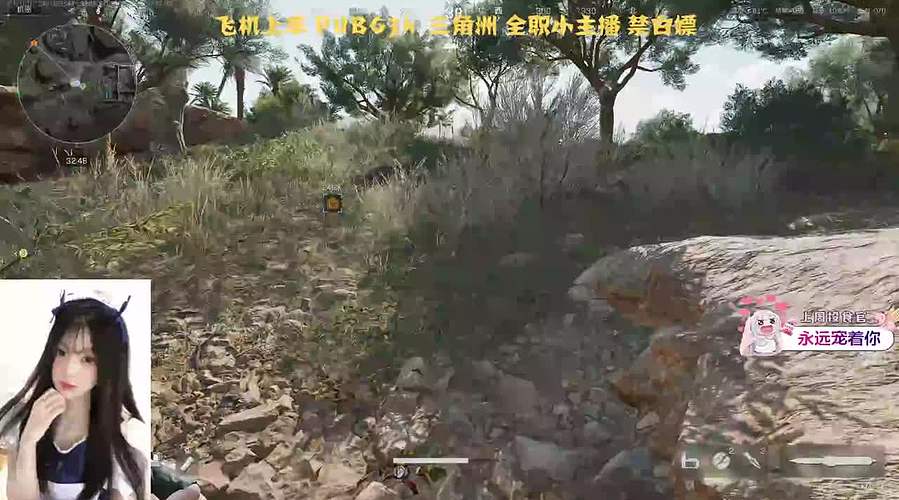 我是一直勤劳的小蜜蜂（有位）
