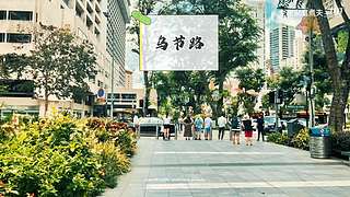 斗鱼搬砖一哥-------------们