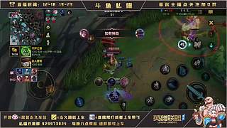 王者辅助  有问必答