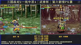 三国战纪各类HACK版本作者，专业HAC