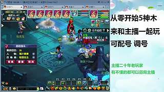 梦幻高低投入指导