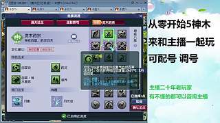 梦幻高低投入指导