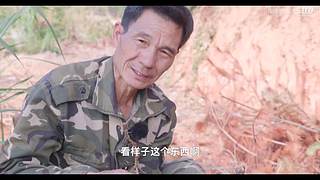娱乐大于一切 10440627