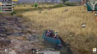 3v3娱乐猪包