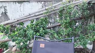 厦门玩玩啦