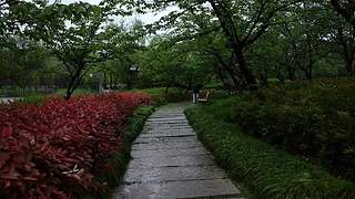 大自然的声音 治愈风景 帮助睡眠