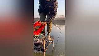 亮gnailux的直播间