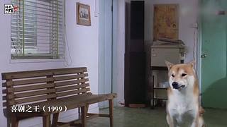 感谢大家的支持 7495810