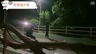 小小废墟！大大能量！