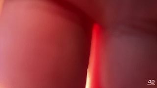 下一站 鹤岗～他又要躺平了吗