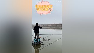 亮gnailux的直播间