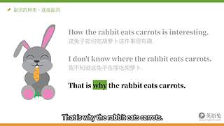 英语兔视频