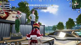 俩卧龙凤雏