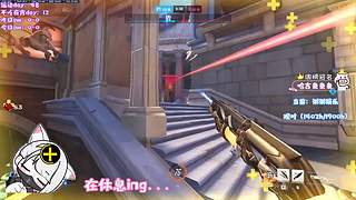 【鸽】早午间档~