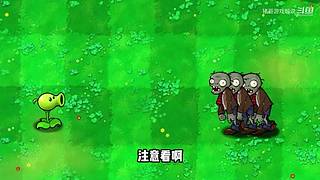 猪哥游戏解说的直播间