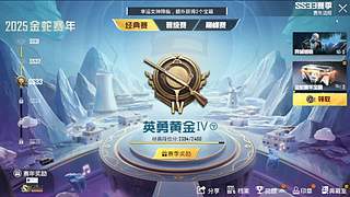 3v3娱乐猪包