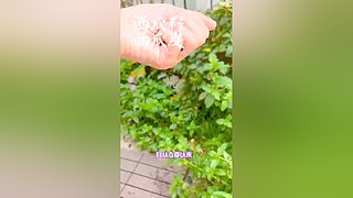 Mrs腊月小九
