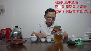 潮州凤凰单丛茶