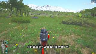 充满沙雕气息的直播间