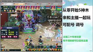 梦幻高低投入指导