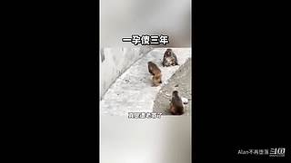 星球大战前线2玩玩看。