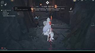 来了直播了