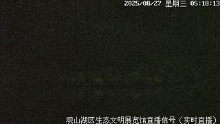 在线观鸟··
