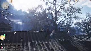 松墨两行的直播间