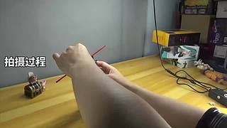 会动的模型手办