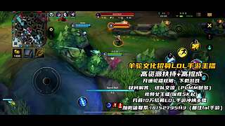 《视频轮播》羊驼文化招募手游LOL