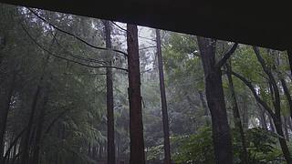 大自然的声音 治愈风景 帮助睡眠