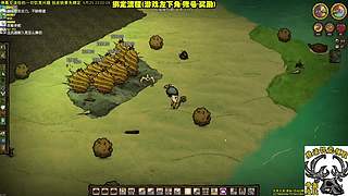 看直播得皮肤 饥荒小明鸽i