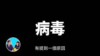 伴你入梦的娱乐科普