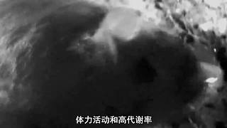 哈喽，全球未解之谜来咯