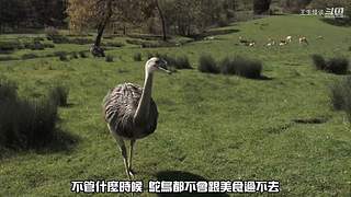 王生怪谈奇闻怪事