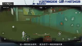 柯恩币专家