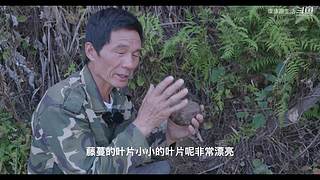 娱乐大于一切 10440627