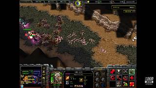 魔兽争霸3c orc第一 lpp