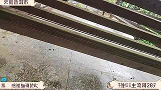 四川骑行云南西双版纳