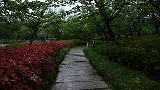 大自然的声音 治愈风景 帮助睡眠