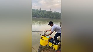亮gnailux的直播间